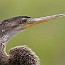 thumbs/IMG_0749.jpg
